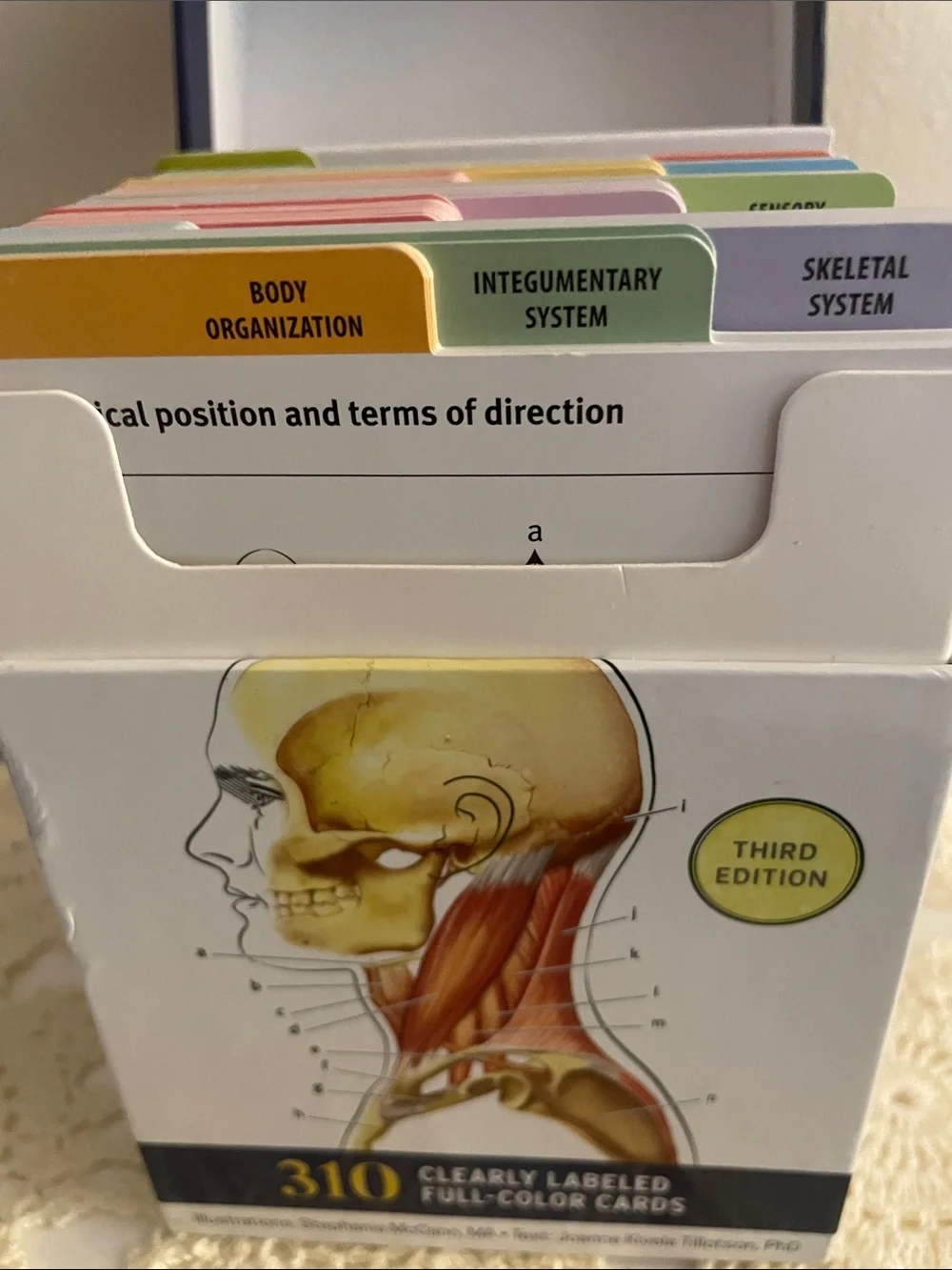 Kaplan Anatomy Flashcards - navy, white, yellow, red, tan